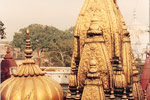 kashi vishwanath temple