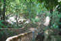 Vythiri